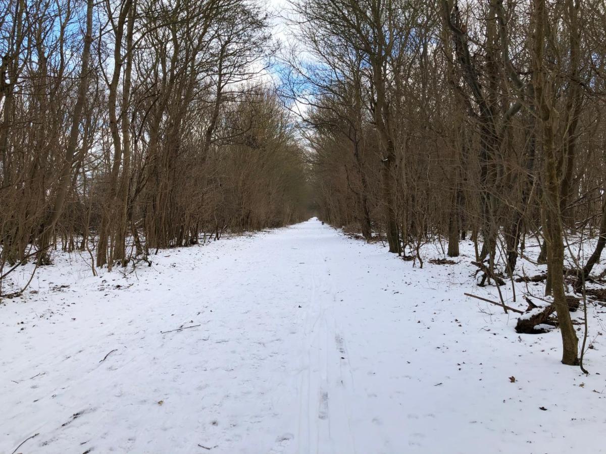 Ferienwohnungostseeblick Börgerende-Rethwisch Exterior foto