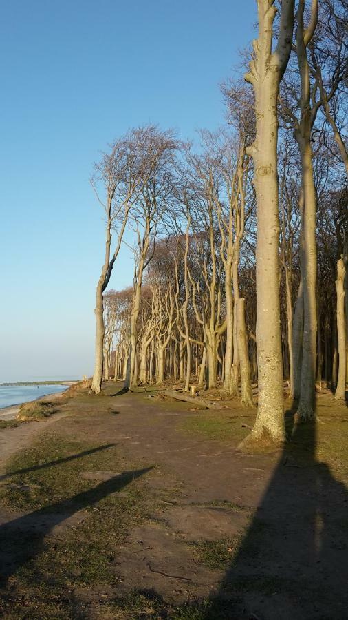 Ferienwohnungostseeblick Börgerende-Rethwisch Exterior foto